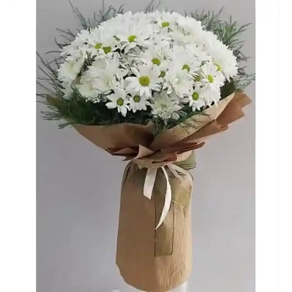 Beyaz Papatya